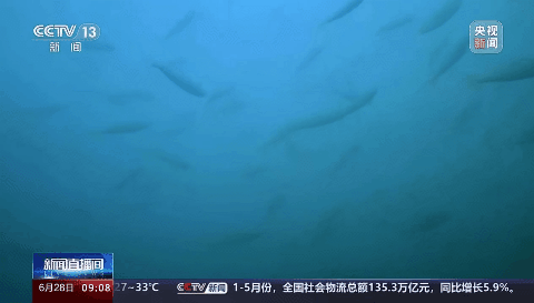 J9集团国际(中国)-官方网站